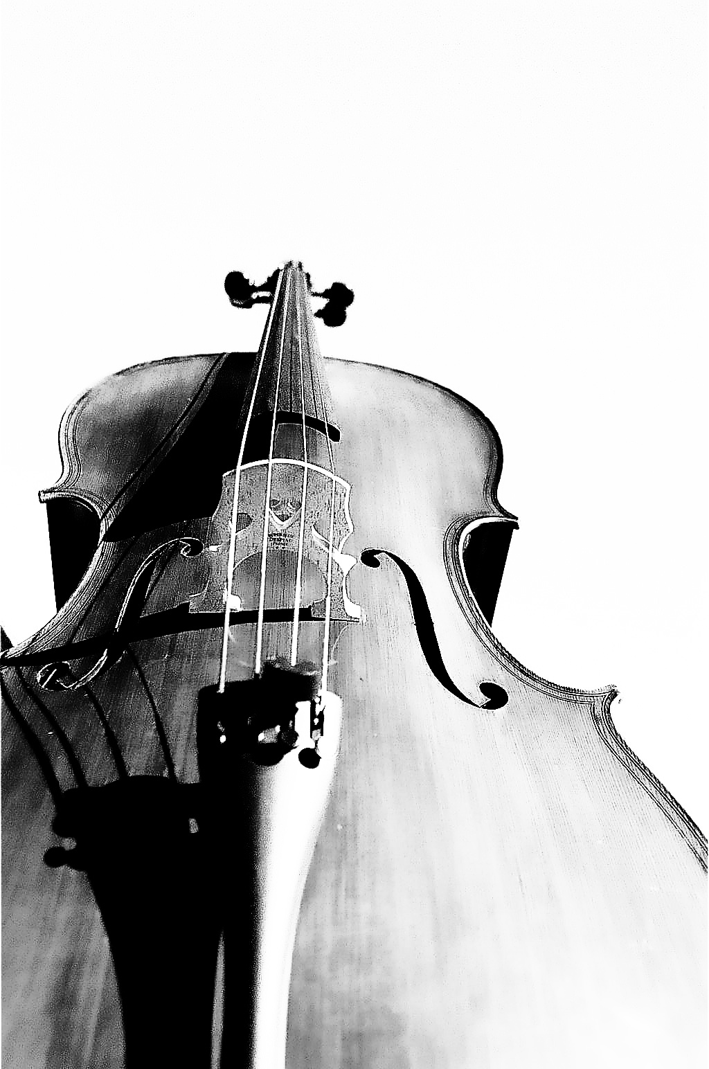 Violoncello